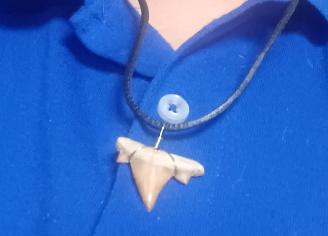 Natural Shark Tooth Necklace for Men, Genuine Fossil Shark Teeth, Cool Sharktooth Beach Necklaces for Women, Beachy Surfer Choker Jewelry - Customer Photo 1