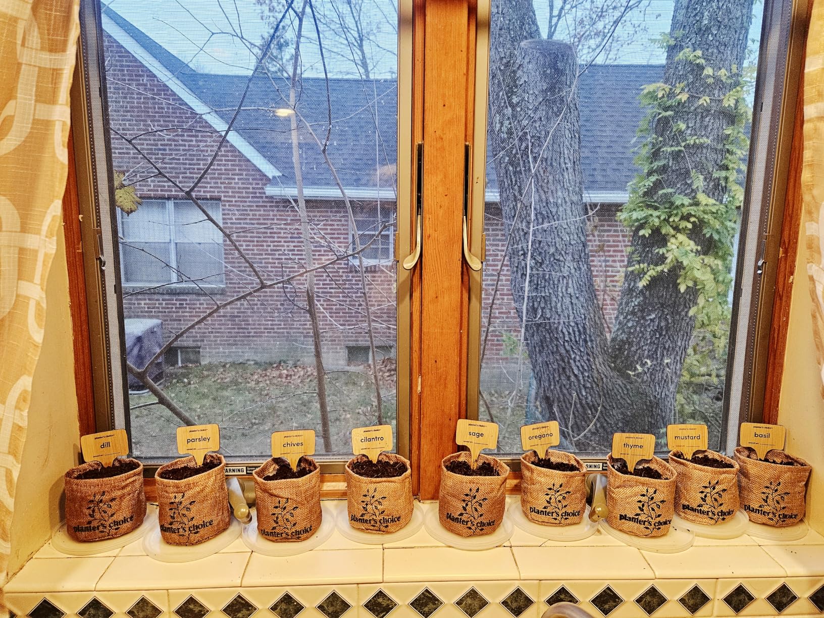 Planters' Choice 9 Herb Indoor Window Garden Kit - House Plants Seeds - Best Unique Christmas Gift Ideas for Women, Mom, Friend, Her, Birthday, Housewarming, Mother - New Home Kitchen Gifts - Customer Photo 2