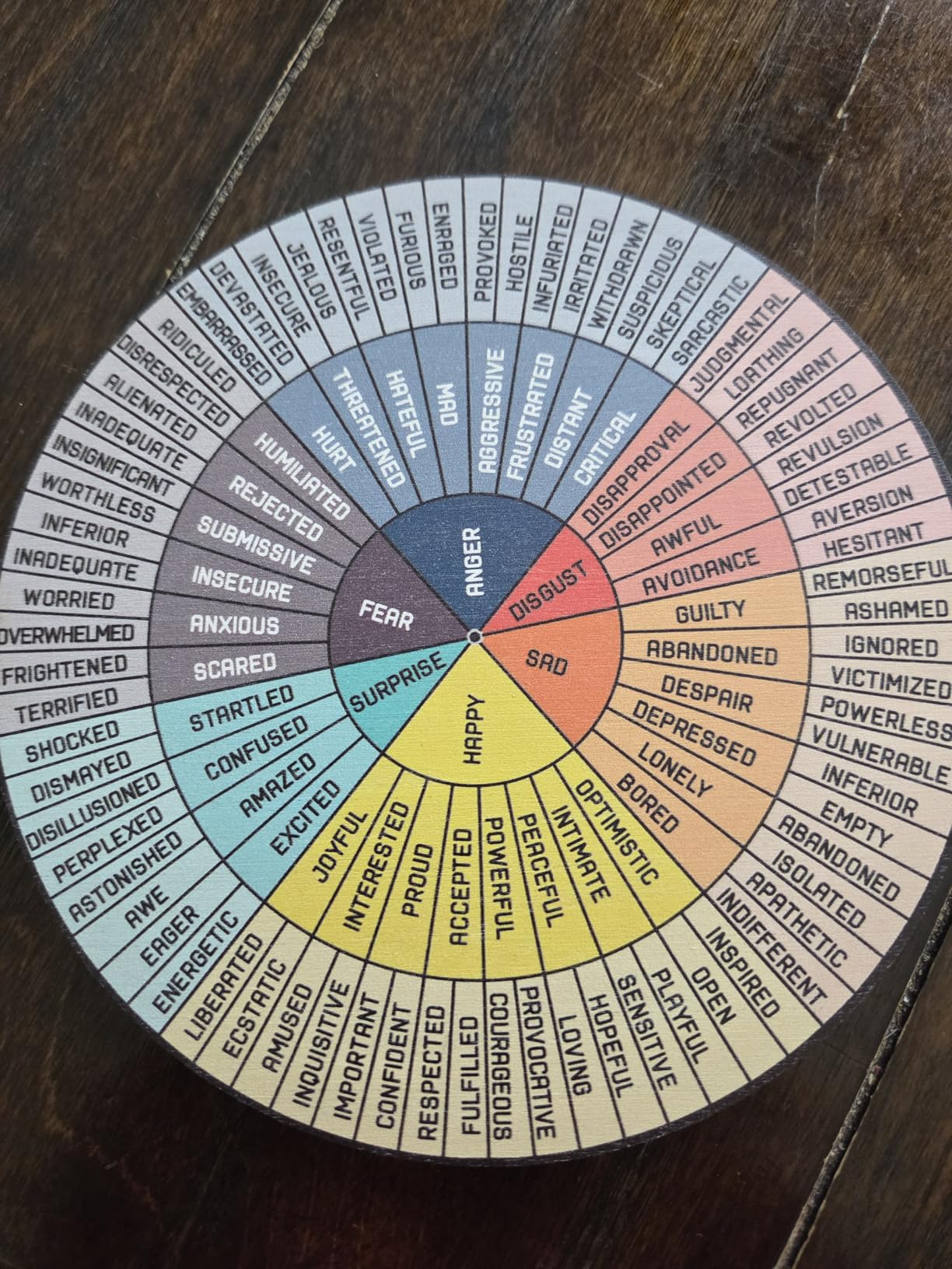Feelings Wheel Therapy Office Desk Decor - Double Sided Mental Health Emotions Chart with Stand, Therapist Gifts for Home Office Women Man - Customer Photo 2