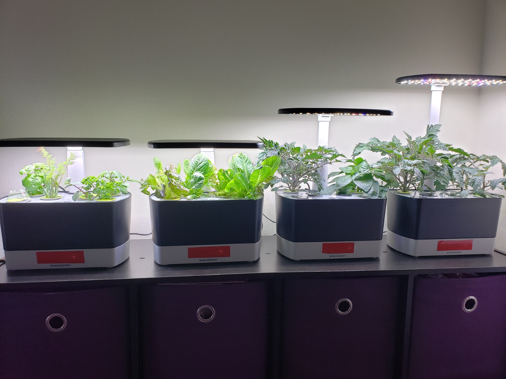 AeroGarden Harvest Lite in Cream, Soil-Free Indoor Hydroponic Garden with LED Grow Light for Year-Round Gardening of up to 6 Herbs and Vegetables Customer Review AeroGarden Harvest Lite in Cream, Soil-Free Indoor Hydroponic Garden with LED Grow Light for Year-Round Gardening of up to 6 Herbs and Vegetables - Customer Photo 2