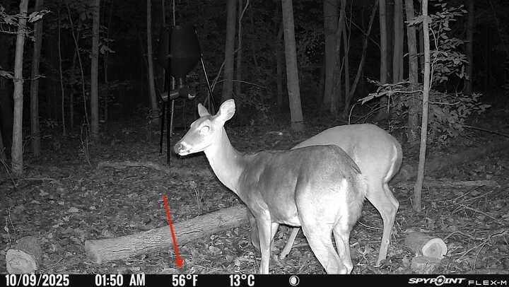 SPYPOINT Flex-M Twin Pack Cellular Trail Cameras - Best Hunting Accessories, No WiFi Needed, GPS, Night Vision, Dual-Sim LTE, IP65 Water-Resistant Game Camera, 28MP Photos, 720p Videos + Sound (2) Customer Review SPYPOINT Flex-M Twin Pack Cellular Trail Cameras - Best Hunting Accessories, No WiFi Needed, GPS, Night Vision, Dual-Sim LTE, IP65 Water-Resistant Game Camera, 28MP Photos, 720p Videos + Sound (2) - Customer Photo 2