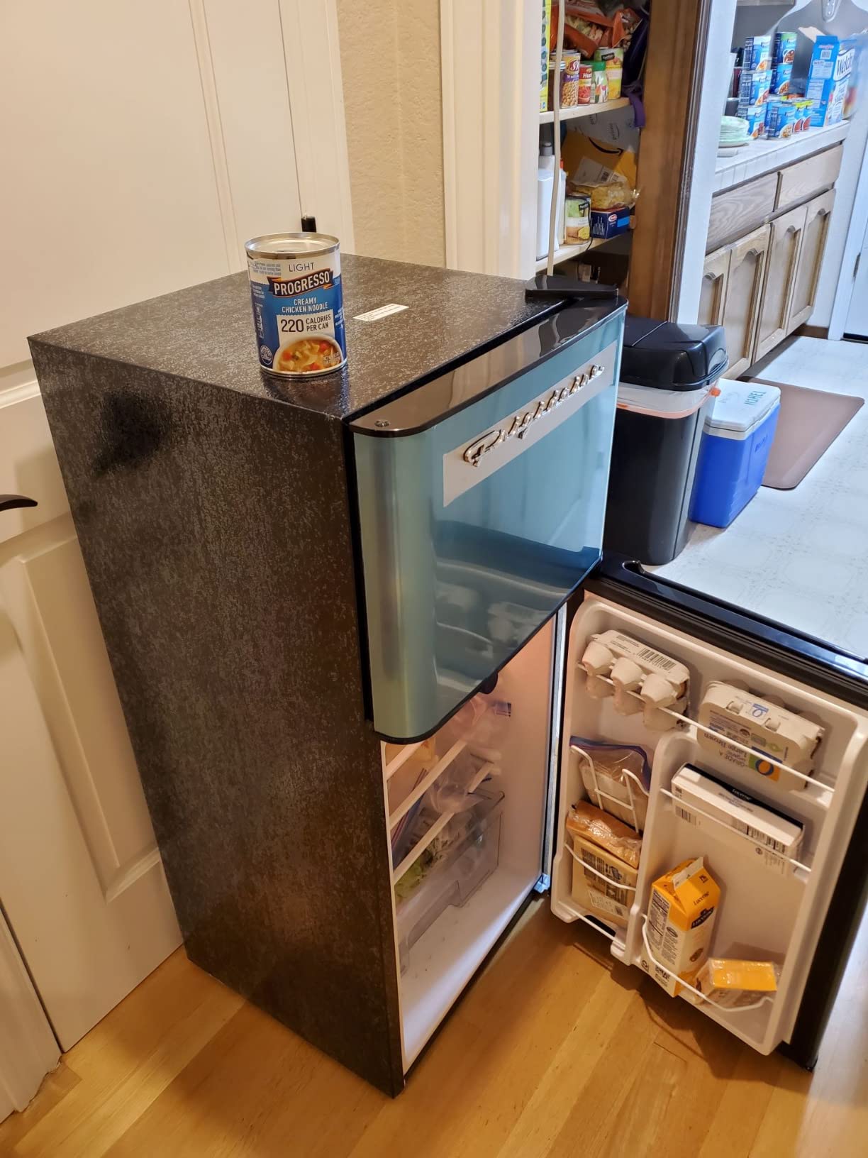 Frigidaire, 2 Door Apartment Size Refrigerator with Freezer, 7.5 cu ft, Adjustable Spill-Proof Shelves, Door & Crisper Bins, Platinum Silver, Garage Ready Customer Review Frigidaire, 2 Door Apartment Size Refrigerator with Freezer, 7.5 cu ft, Adjustable Spill-Proof Shelves, Door & Crisper Bins, Platinum Silver, Garage Ready - Customer Photo 001