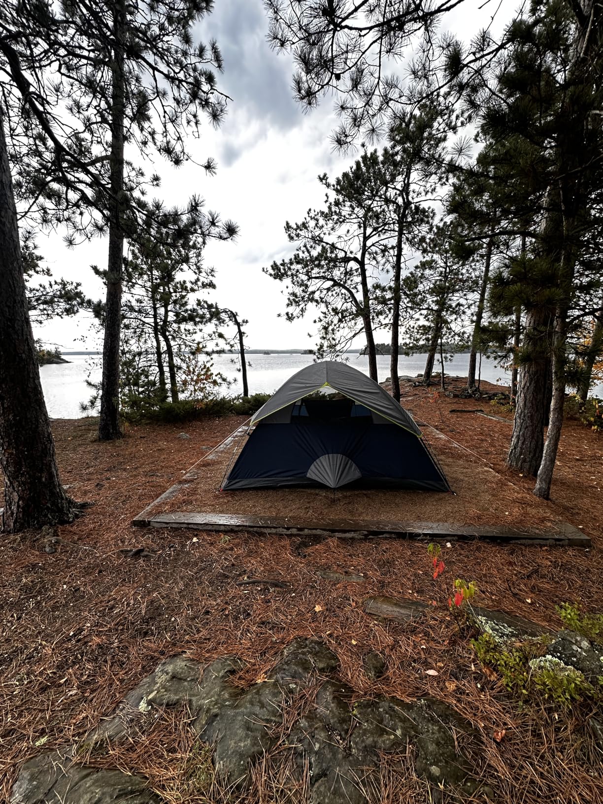 Coleman Sundome Camping Tent with Rainfly, 2/3/4/6 Person Tent Sets Up in 10 Mins, Weatherproof Shelter for Camping, Festivals, Backyard, Sleepovers, & More - Customer Photo 3