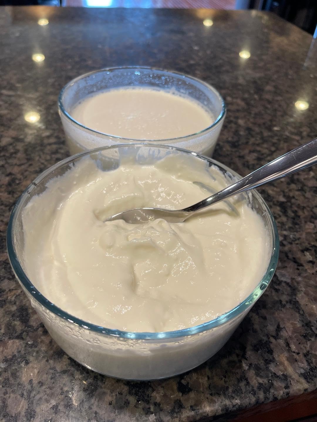 Ultimate Probiotic Yogurt Maker w/Adjustable Temperature & Time Control - Make Trillions of Live Probiotics - Best 2025 Men & Womens Christmas Gifts for Family & Friends - ULTIMATE LIFETIME WARRANTY Customer Review Ultimate Probiotic Yogurt Maker w/Adjustable Temperature & Time Control - Make Trillions of Live Probiotics - Best 2025 Men & Womens Christmas Gifts for Family & Friends - ULTIMATE LIFETIME WARRANTY - Customer Photo 1
