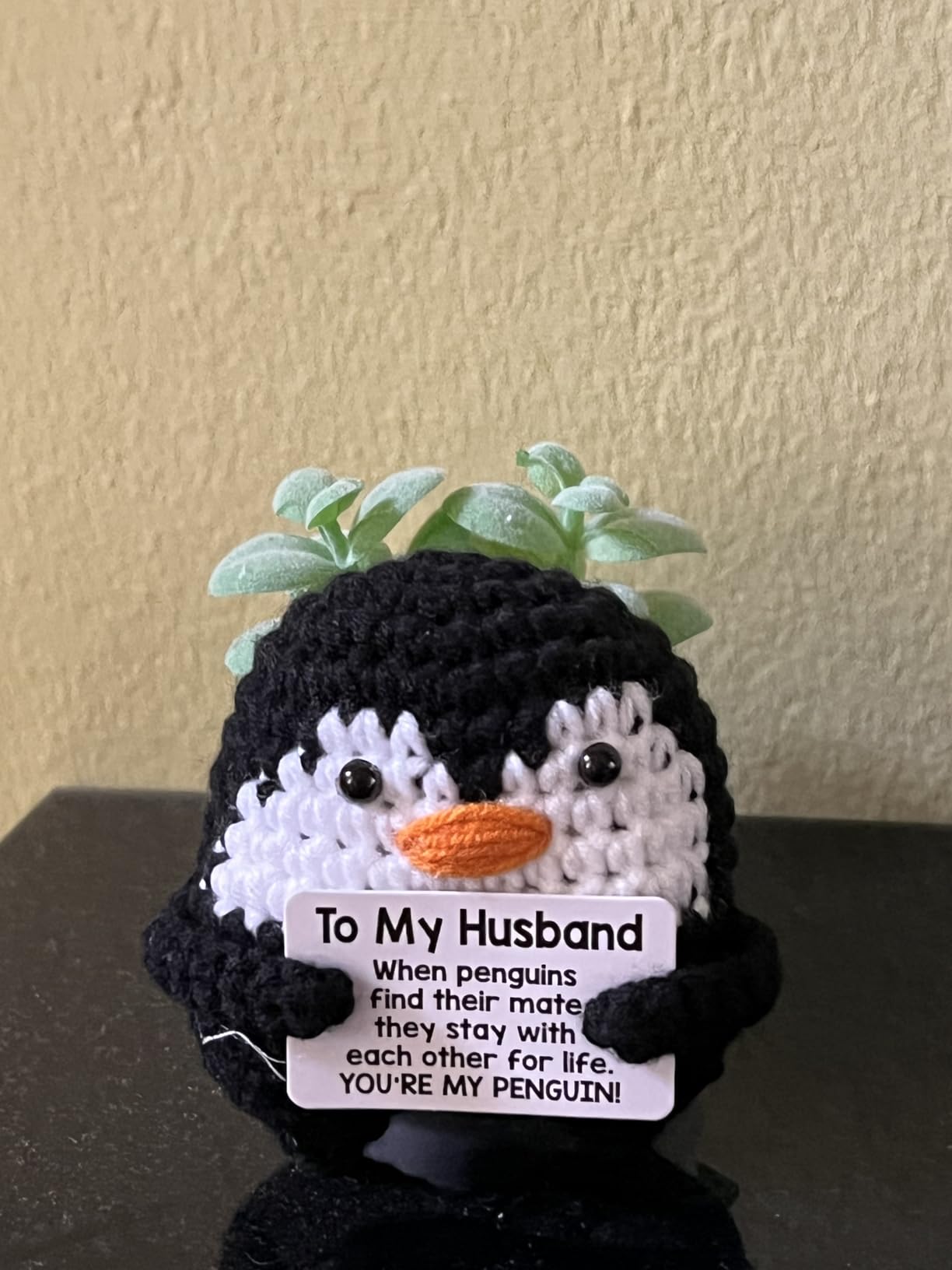 Gifts for Him Her Boyfriend Girlfriend Birthday Christmas, To My Love Handmade Crochet Penguin, Wedding Anniversary Valentines Gift for Women Men, Romantic I Love You Gift for Couples Wife Husband Customer Review Gifts for Him Her Boyfriend Girlfriend Birthday Christmas, To My Love Handmade Crochet Penguin, Wedding Anniversary Valentines Gift for Women Men, Romantic I Love You Gift for Couples Wife Husband - Customer Photo 1