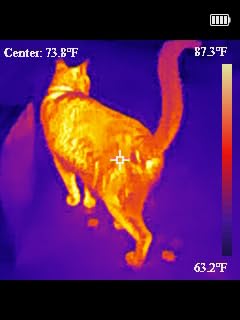 H128 Handheld Thermal Camera, 240 x 240 TISR Resolution, 24h Battery Life Thermal Imaging Camera, 25 Hz Infrared Camera with Temperature Alarm, -4℉~ 842℉ Temp Range, IP65 Protection Level Customer Review H128 Handheld Thermal Camera, 240 x 240 TISR Resolution, 24h Battery Life Thermal Imaging Camera, 25 Hz Infrared Camera with Temperature Alarm, -4℉~ 842℉ Temp Range, IP65 Protection Level - Customer Photo 1