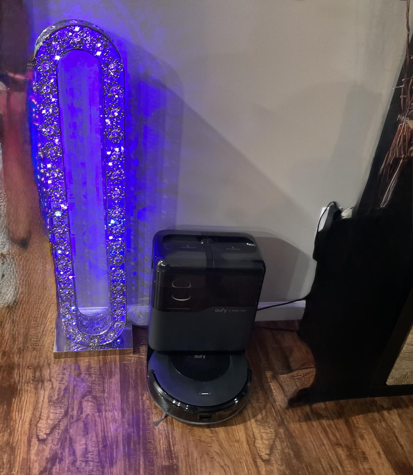 eufy (Like-New) Robot Vacuum Omni C20, Robot Vacuum and Mop Combo, Self Emptying, Auto Mop Washing and Auto Drying for Hands-Free Cleaning, 7000 Pa Powerful Suction (Renewed) Customer Review eufy (Like-New) Robot Vacuum Omni C20, Robot Vacuum and Mop Combo, Self Emptying, Auto Mop Washing and Auto Drying for Hands-Free Cleaning, 7000 Pa Powerful Suction (Renewed) - Customer Photo 1
