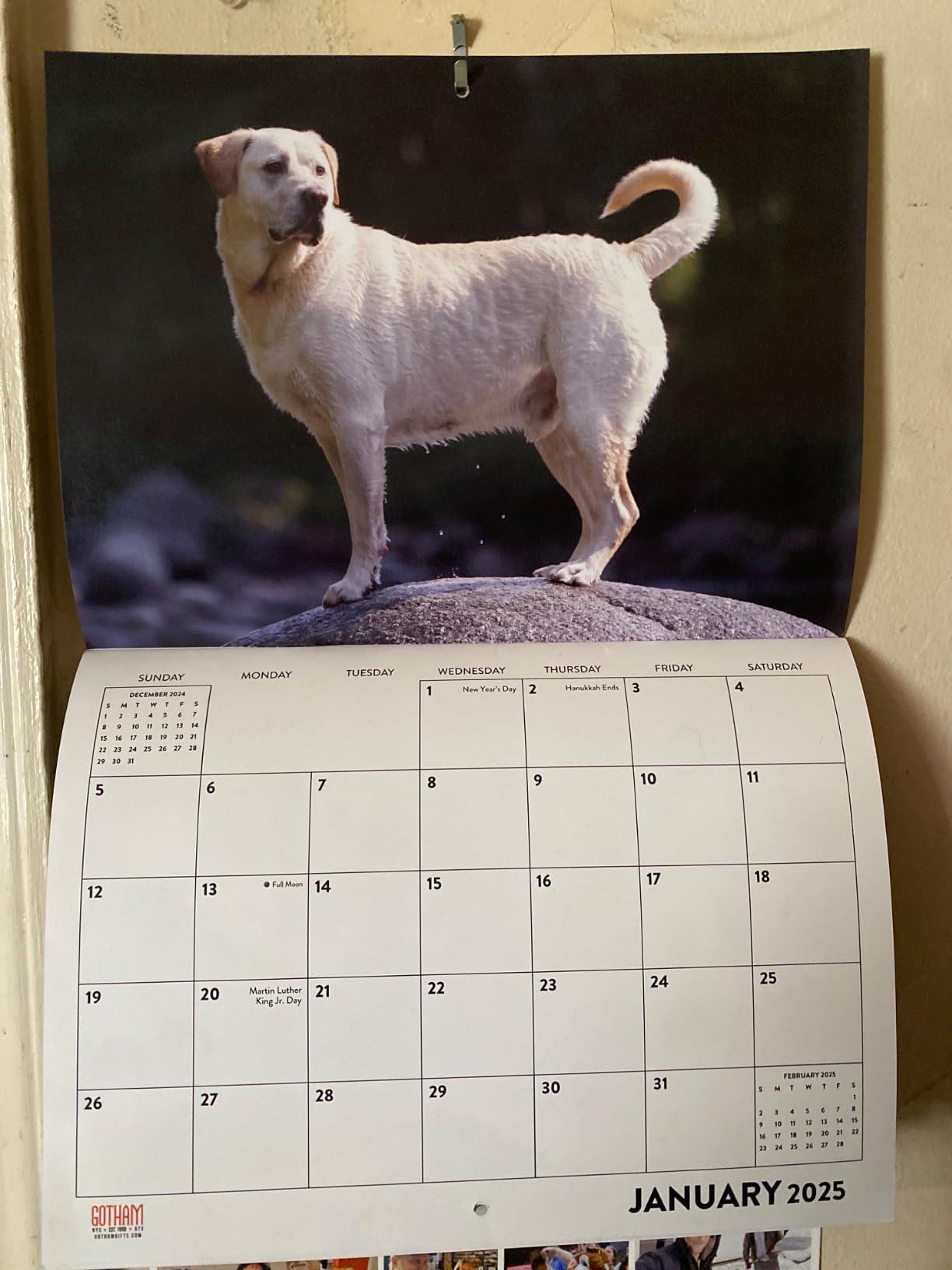 French Bulldog Calendar 2026 Wall 12 Month Frenchie Dog Gifts For Bulldogs Lovers Women Men Monthly Calender | American Made In The USA Customer Review French Bulldog Calendar 2026 Wall 12 Month Frenchie Dog Gifts For Bulldogs Lovers Women Men Monthly Calender | American Made In The USA - Customer Photo 1