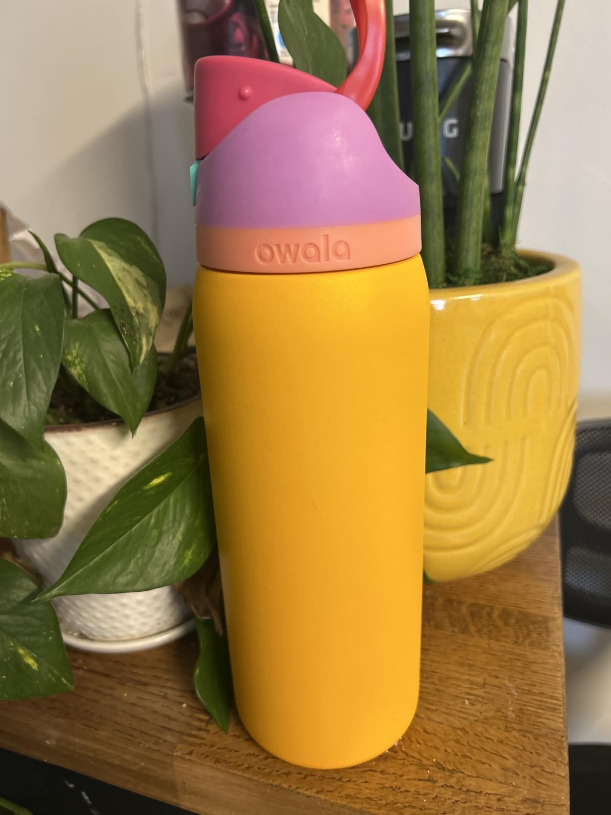 Owala FreeSip Insulated Stainless Steel Water Bottle with Straw for Sports, Travel, and School BPA-Free Sports Water Bottle, 24 oz, Beach House Customer Review Owala FreeSip Insulated Stainless Steel Water Bottle with Straw for Sports, Travel, and School BPA-Free Sports Water Bottle, 24 oz, Beach House - Customer Photo 1