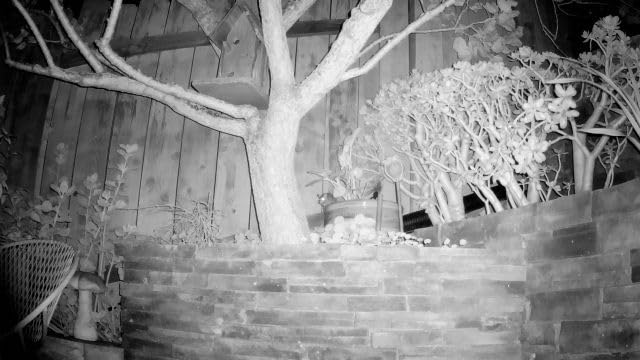 Zleo Cellular Game Trail Camera with Lifetime Data Free, Motion Activated Night Vision Waterproof, Live Feed to Phone, SIM Card Pre-Inserted, Remote APP Access, No Subscription Required Customer Review Zleo Cellular Game Trail Camera with Lifetime Data Free, Motion Activated Night Vision Waterproof, Live Feed to Phone, SIM Card Pre-Inserted, Remote APP Access, No Subscription Required - Customer Photo 1