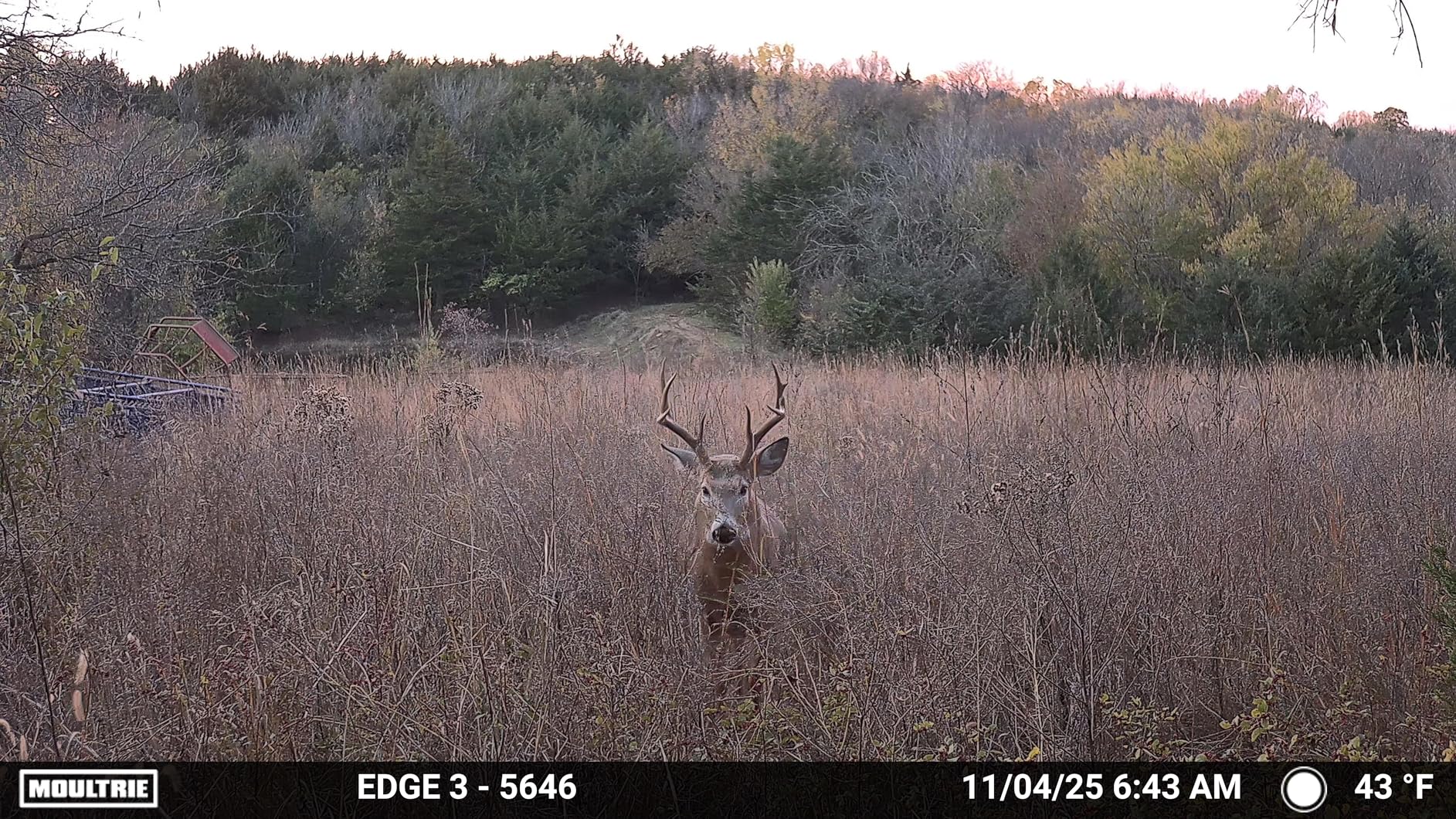 Moultrie Edge 3 Cellular Trail Camera - 2 Pack - 40MP HD Photo Capture - 1080p Low-Glow Flash - GPS - Multi-Carrier Auto-Connect - Built-in Memory - 0.5s Trigger Speed - AI Buck Detection Customer Review Moultrie Edge 3 Cellular Trail Camera - 2 Pack - 40MP HD Photo Capture - 1080p Low-Glow Flash - GPS - Multi-Carrier Auto-Connect - Built-in Memory - 0.5s Trigger Speed - AI Buck Detection - Customer Photo 1