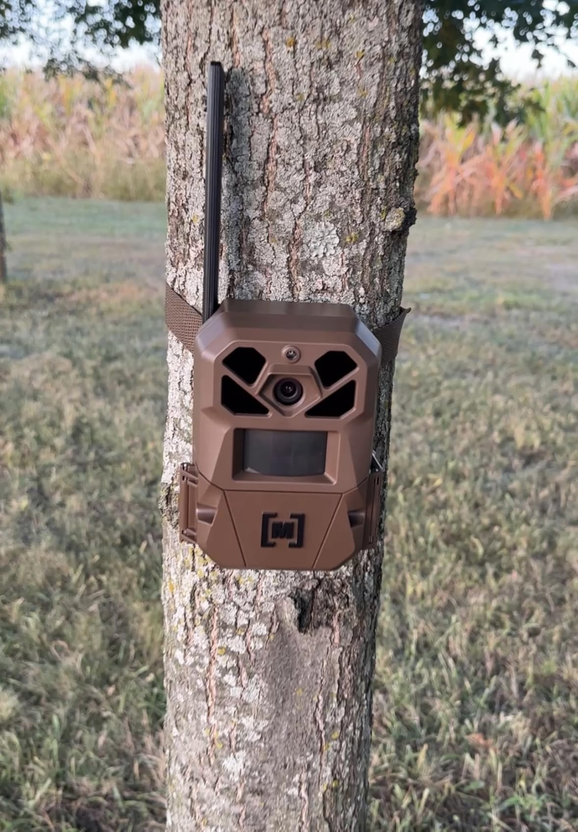Moultrie Edge 3 Cellular Trail Camera - 2 Pack - 40MP HD Photo Capture - 1080p Low-Glow Flash - GPS - Multi-Carrier Auto-Connect - Built-in Memory - 0.5s Trigger Speed - AI Buck Detection Customer Review Moultrie Edge 3 Cellular Trail Camera - 2 Pack - 40MP HD Photo Capture - 1080p Low-Glow Flash - GPS - Multi-Carrier Auto-Connect - Built-in Memory - 0.5s Trigger Speed - AI Buck Detection - Customer Photo 2