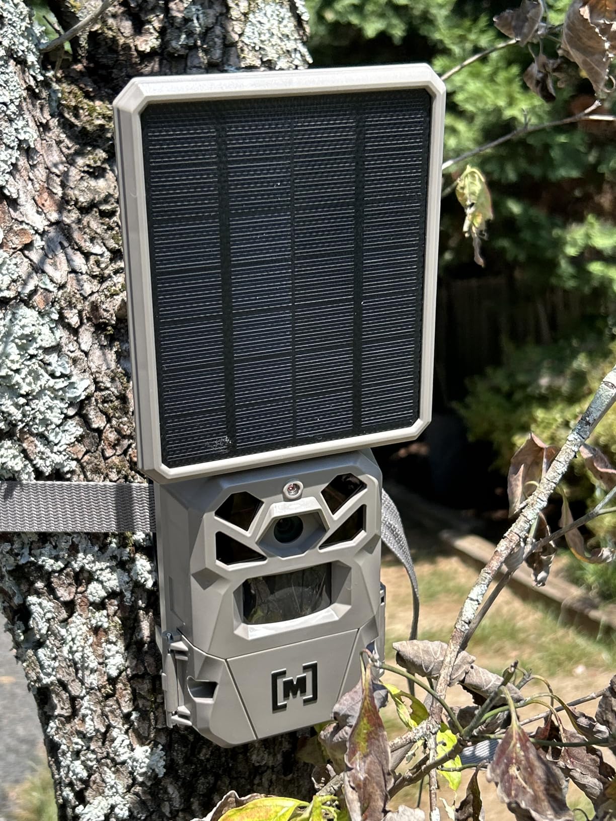 Moultrie Edge Solar Cellular Trail Camera - Integrated Solar Panel with Battery - 40MP - 1080p Video - Low-Glow Flash - Multi-Carrier Auto-Connect - Built-in Memory - 0.4s Trigger Speed Customer Review Moultrie Edge Solar Cellular Trail Camera - Integrated Solar Panel with Battery - 40MP - 1080p Video - Low-Glow Flash - Multi-Carrier Auto-Connect - Built-in Memory - 0.4s Trigger Speed - Customer Photo 1