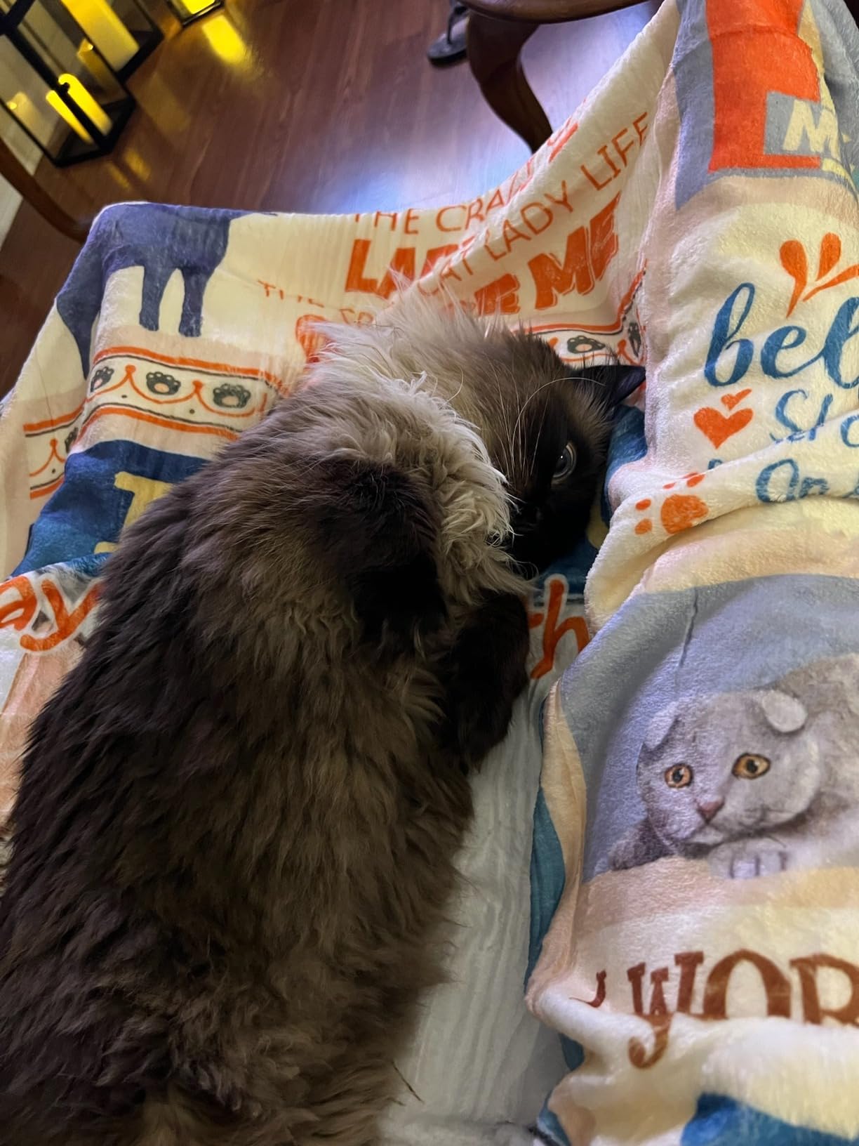 Punofell Best Otter Gifts for Women/Men, Unique Otter Lovers Stuff for Boys/Girls, Sea Otter Blanket Decor/Accessories, Cute Otters Themed Throw 50