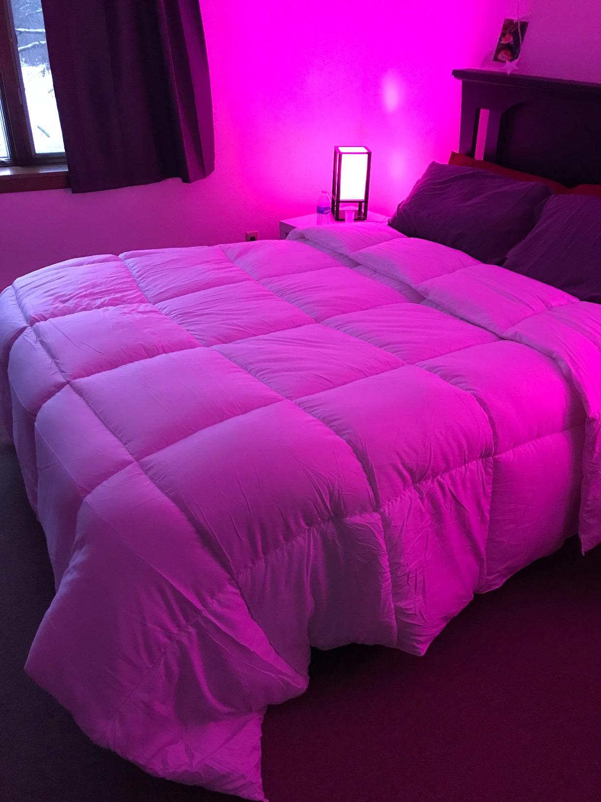Utopia Bedding Comforter Duvet Insert, Quilted Comforter with Corner Tabs, Box Stitched Down Alternative Comforters Queen Size (White) Customer Review Utopia Bedding Comforter Duvet Insert, Quilted Comforter with Corner Tabs, Box Stitched Down Alternative Comforters Queen Size (White) - Customer Photo 2
