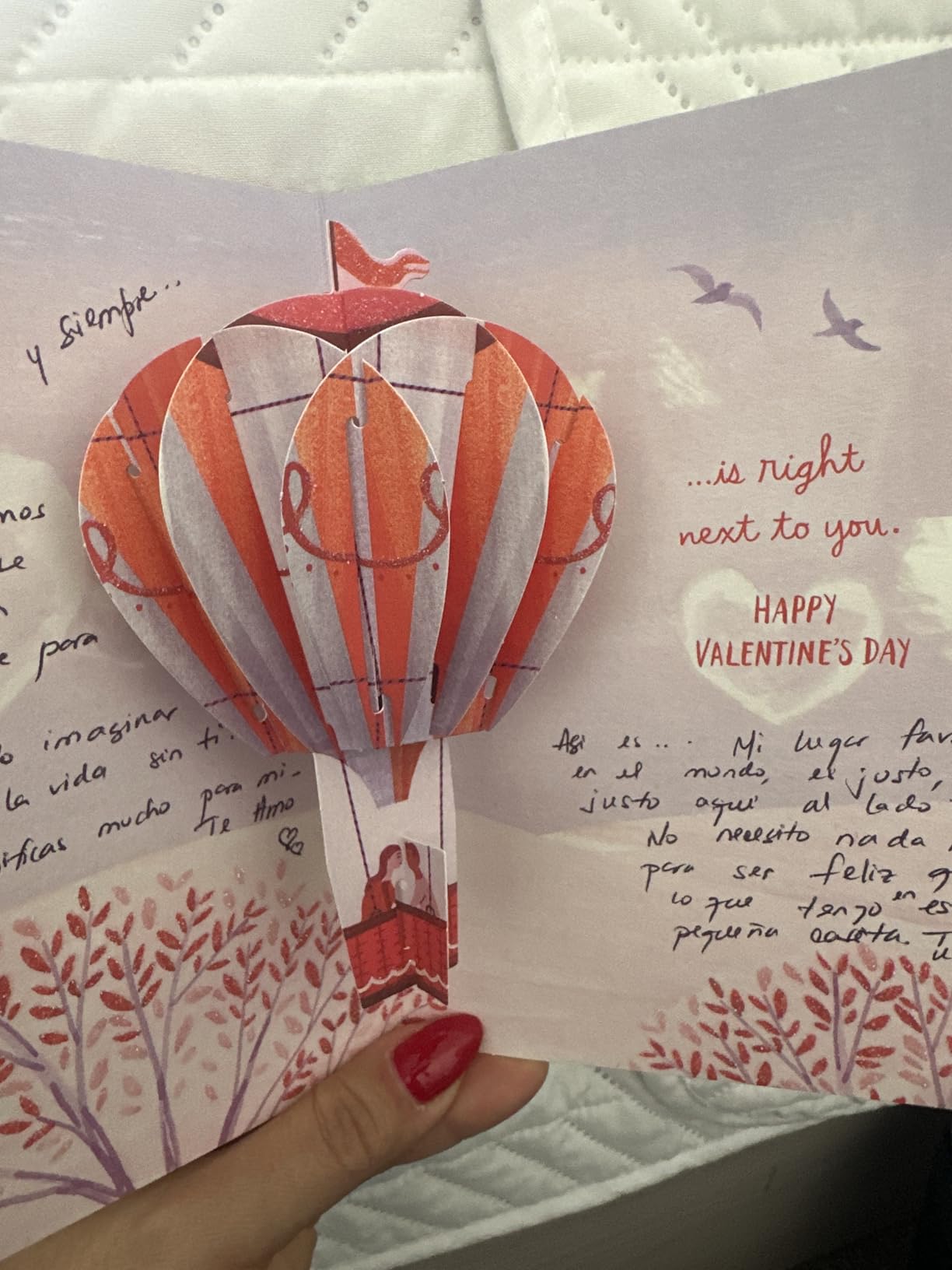 Hallmark Paper Wonder Valentines Day Pop Up Card for Significant Other (Hot Air Balloon Valentine) - Customer Photo 1