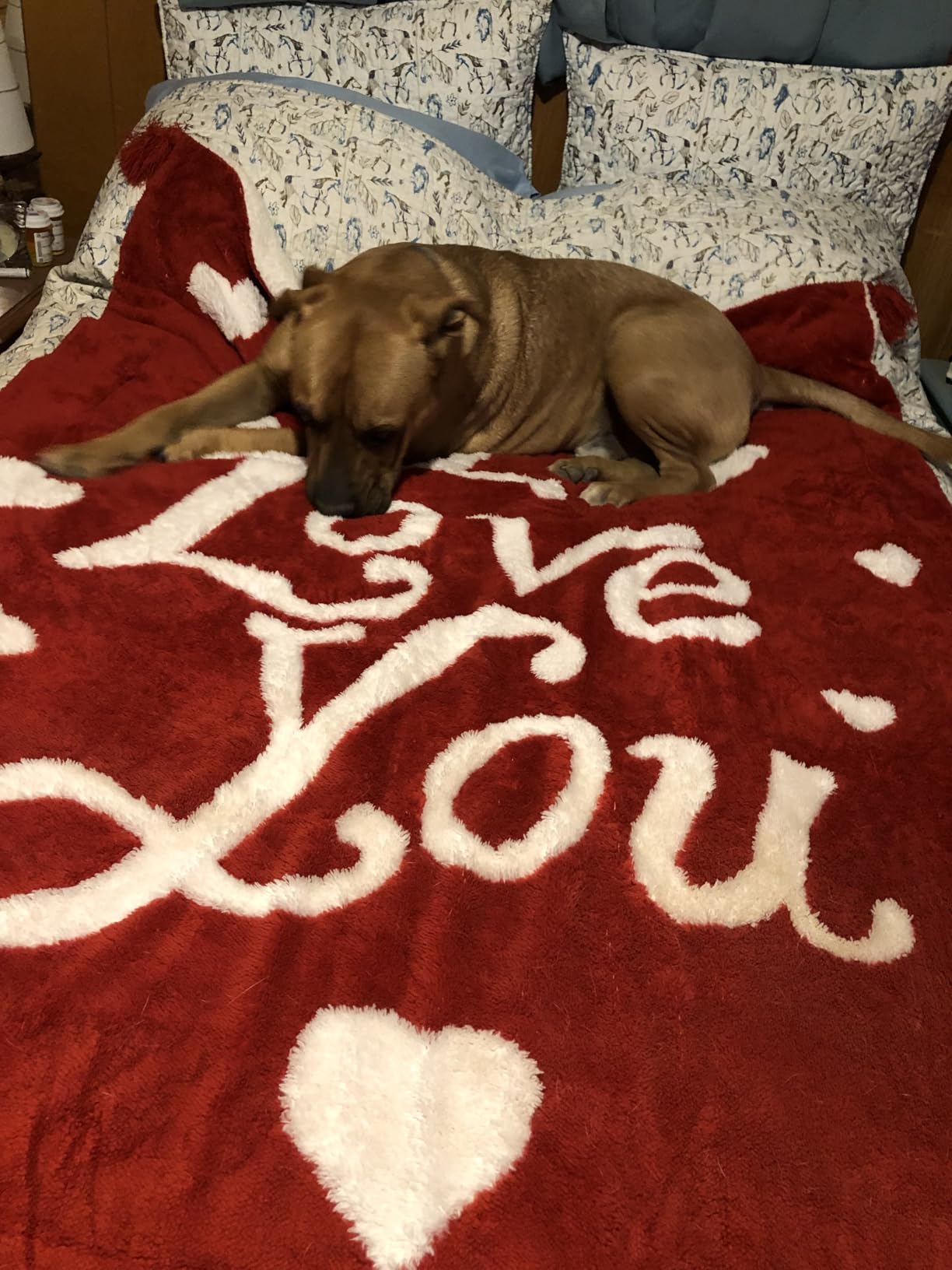 Bedsure Valentines Day Throw Blanket - Soft and Warm Sherpa Heart Throws Valentines Day Gifts for Him and Her, I Love You Red 50 Bedsure Valentines Day Throw Blanket - Soft and Warm Sherpa Heart Throws Valentines Day Gifts for Him and Her, I Love You Red 50