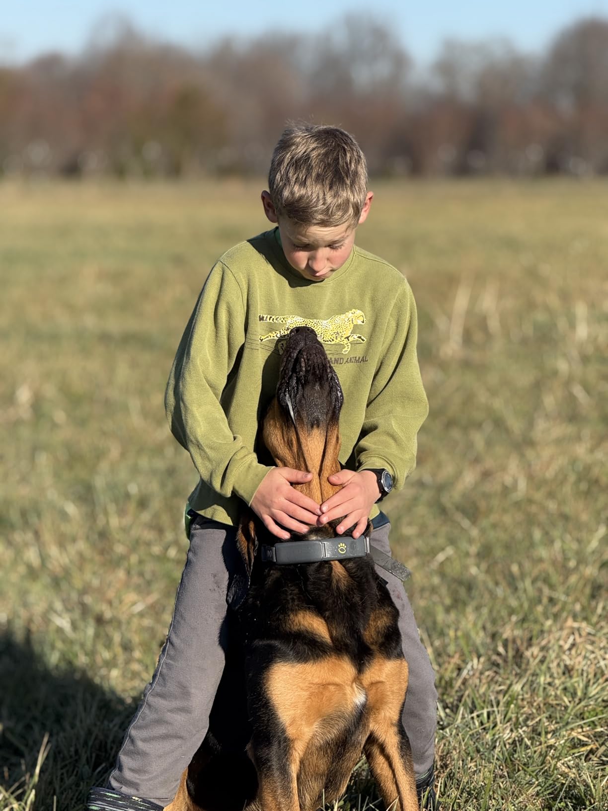Halo Collar 4, GPS Wireless Dog Fence & Dog Training Collar with GPS Tracker, Subscription Required, Waterproof, Midnight, One Size Customer Review Halo Collar 4, GPS Wireless Dog Fence & Dog Training Collar with GPS Tracker, Subscription Required, Waterproof, Midnight, One Size - Customer Photo 3