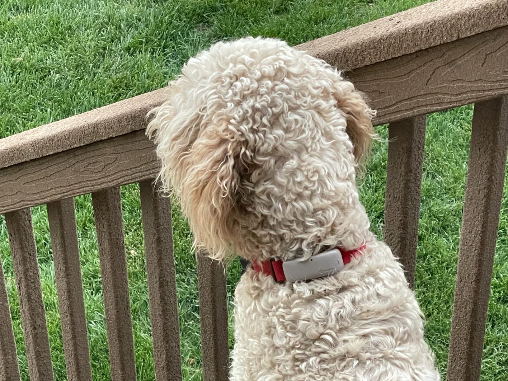 Tractive GPS Dog Tracker (2025 Release) Real-time Pet Location Tracker | Health & Wellness Alerts | Virtual Fence for Dogs | Bark Monitoring (Brown w/Olive Cover) Customer Review Tractive GPS Dog Tracker (2025 Release) Real-time Pet Location Tracker | Health & Wellness Alerts | Virtual Fence for Dogs | Bark Monitoring (Brown w/Olive Cover) - Customer Photo 1
